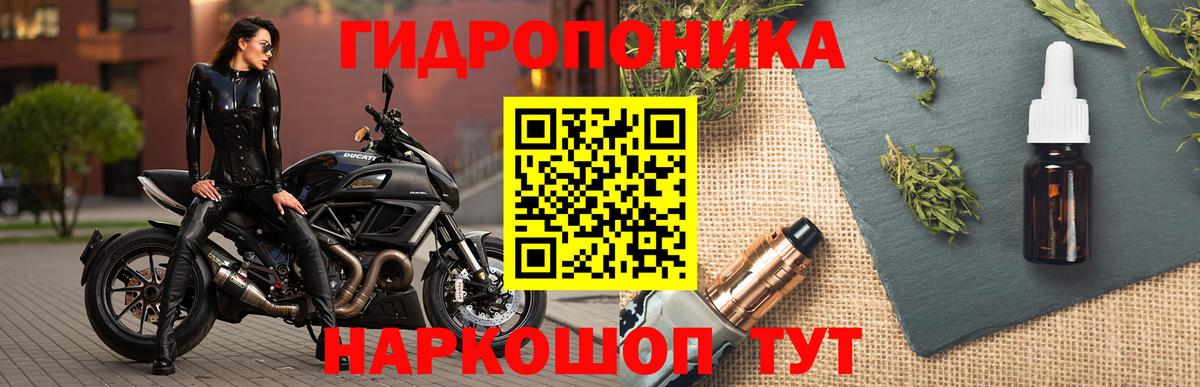 Канабис ГИДРОПОН  Канабис VHQ  Каннабис White Widow  Ивантеевка  Вход с VPN  Канабис Bruce Banner 